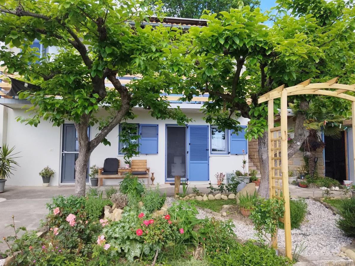 Apartma Salvia-Guest House Lucija Exteriör bild