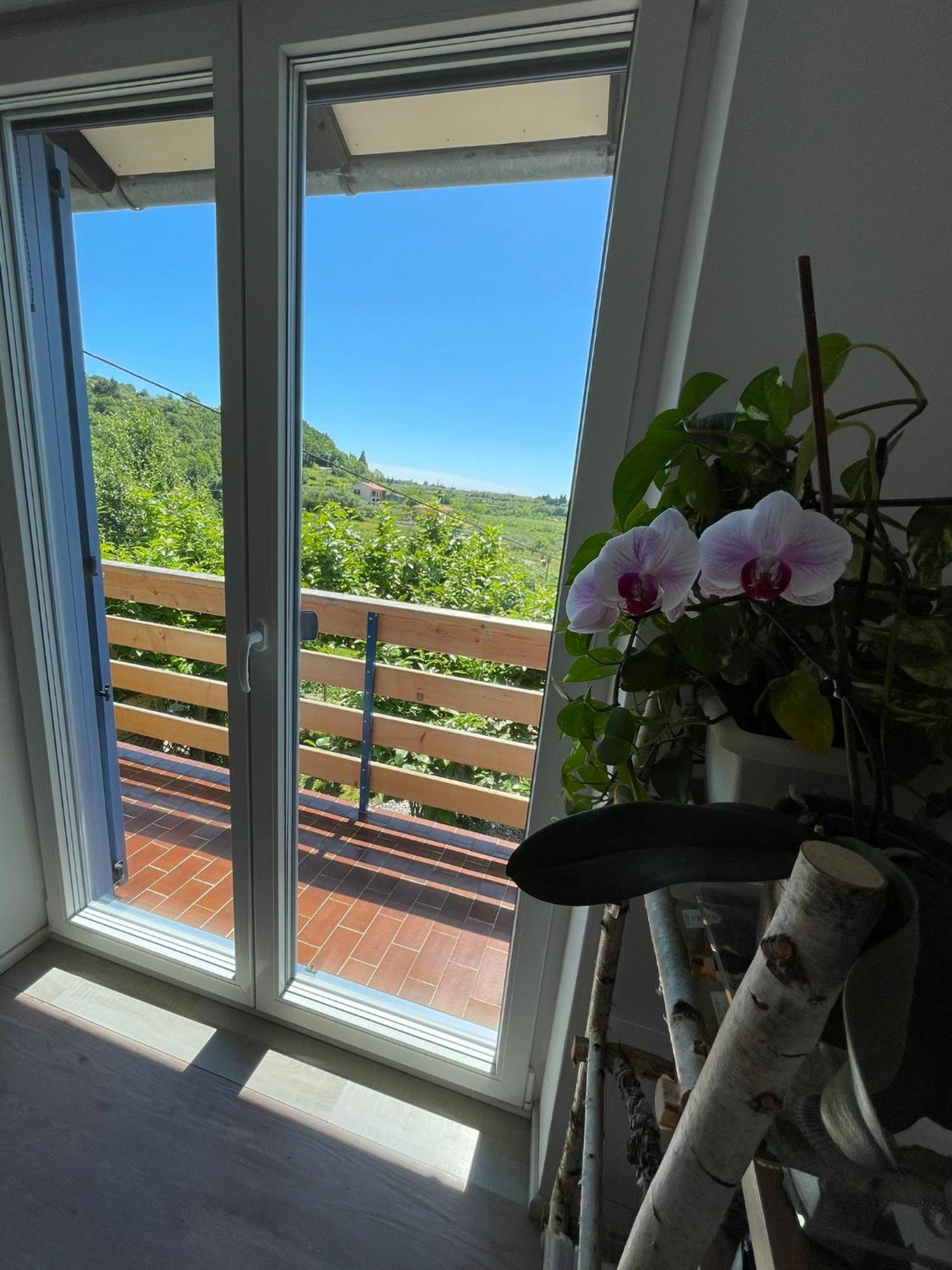 Apartma Salvia-Guest House Lucija Exteriör bild
